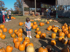 pumpkins at McGee Farm Florence, AL