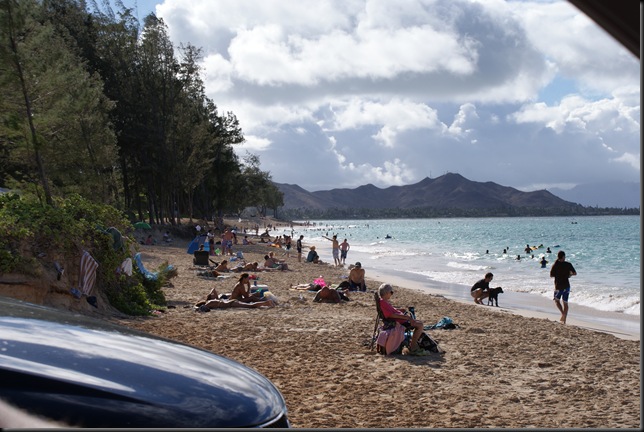 windward coast 101