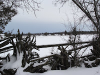 Landscape on 2 February 2008