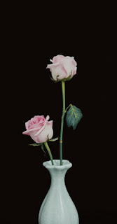 صورة مزهرية بيضاء وورد وردي ، صور حلوه بجودة 4K