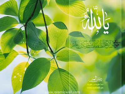 ALLAH Name HD Wallpapers