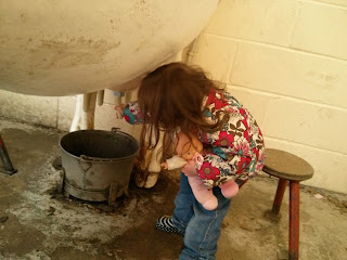 checking milk