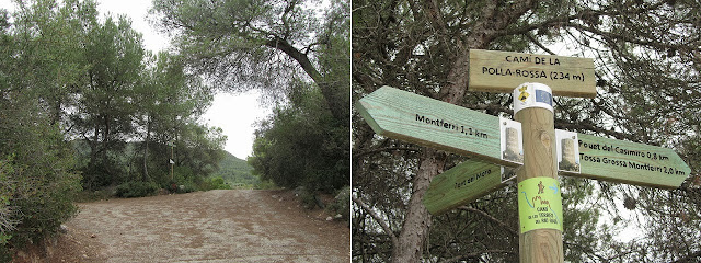 Montferri-Torre de Montferri-Tossa Grossa de Montferri, camí de la Polla Rossa en direcció a la Tossa de Montferri