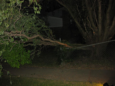 tree fall on fence, bend metal fence, fallen tree, at night