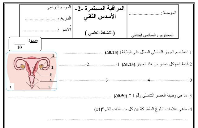 فرض المراقبة المستمرة رقم 4 النشاط العلمي للمستوى 6 السادس ابتدائي 2023