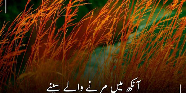 Life Quotes - 100+ Best One Line Urdu Quotes About Zindagi