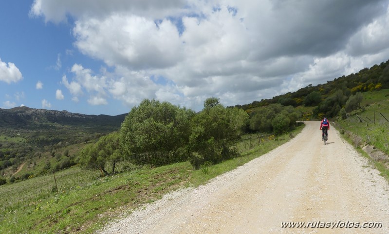 Carril Cicloturista Camino de Ojén