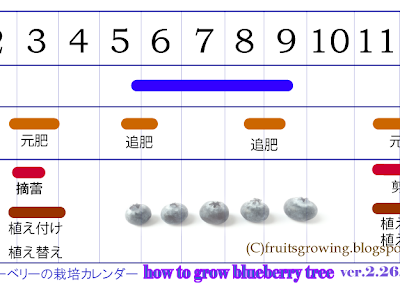 [10000印刷√] ブルーベリー 冬 剪定 203303