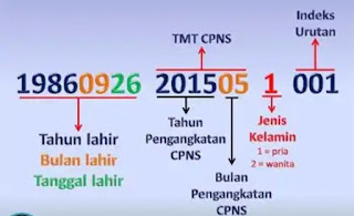 21.477 CPNS Belum Dapat NIP, Kemenpan RB Paparkan Nasib Mereka