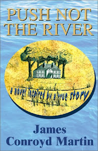 Push Not the River: A Novel Inspired by a True Story