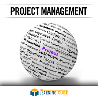 project management online training