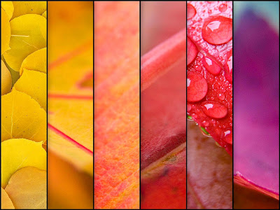 autumn wallpapers. Autumn Wallpapers