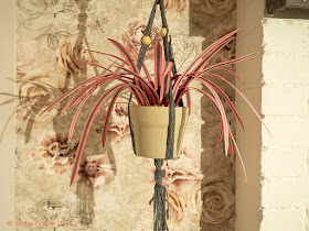 Pink Cordyline paper plant by we laugh indoors