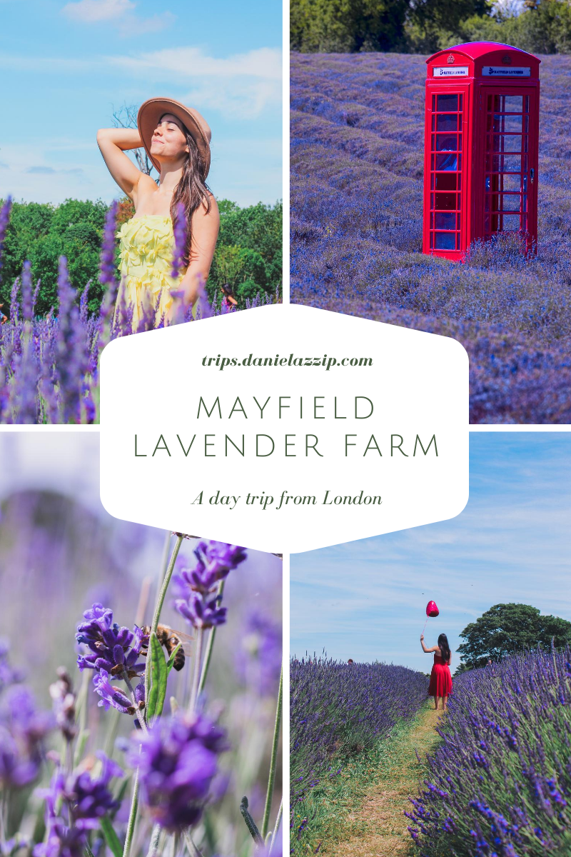 Mayfield Lavender Farm london