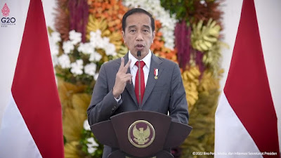 Jalan Tengah Jokowi Terhadap Konflik Ukraina-Rusia Jelang G20