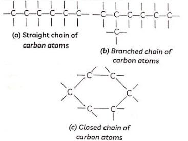 Chain Branch and Long-CBSE Class 10 Science Notes Chapter 4 Carbon and its Compounds