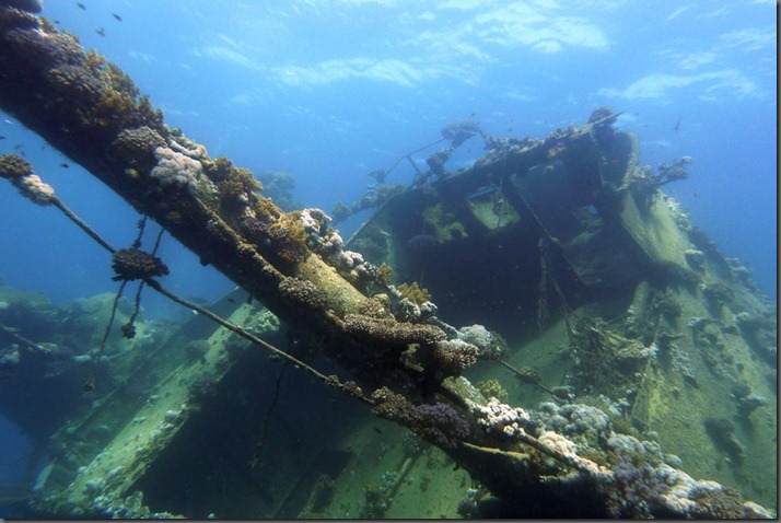 wrack