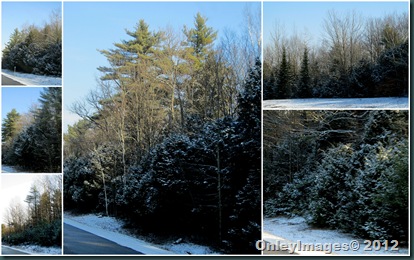 snow collage2