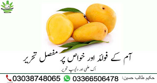 Mangos kay fiday in Urdu
