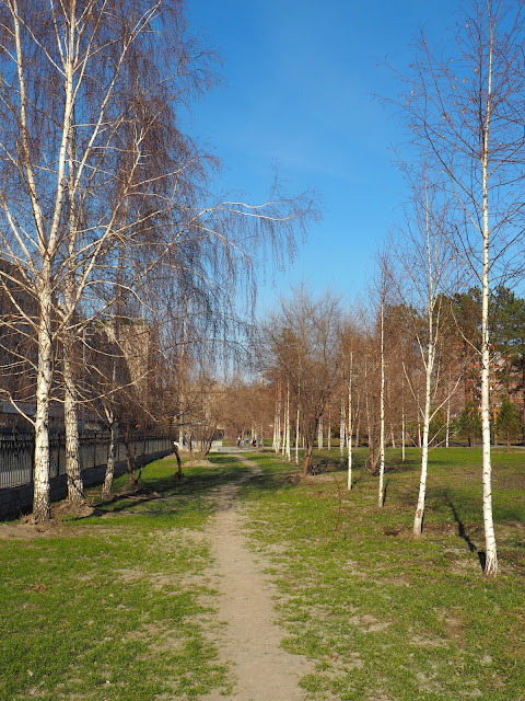 Новосибирск, Нарымский сквер - весна