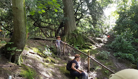 The Woodland Theatre Stage at Just So Festival is a bowl shaped dent in the land. Shows boy at top with all steps up covered in mud.