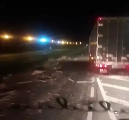 Carreta carregada com azulejos atropela cavalo na Br-116 em Juquiá