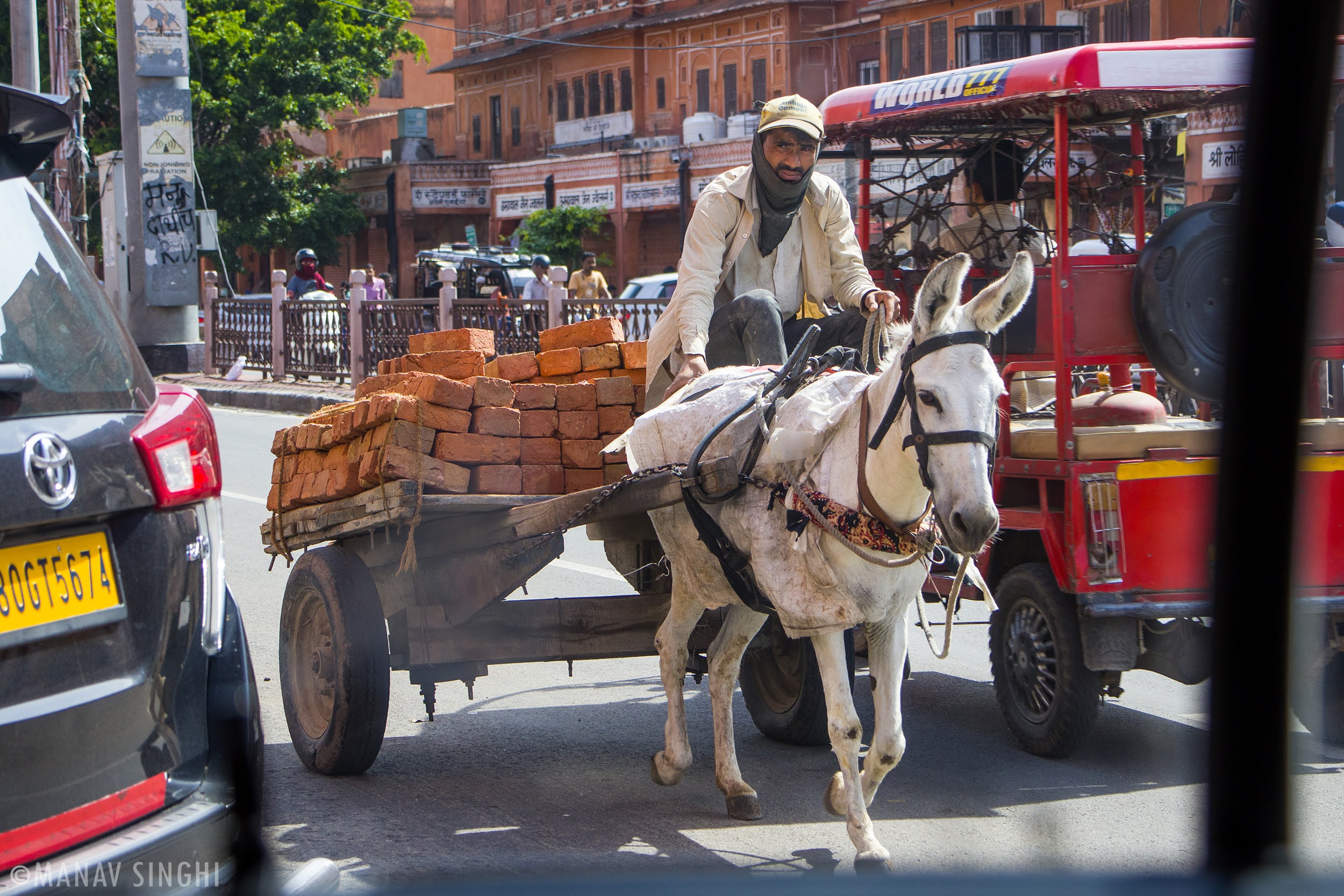 Donkey Cart spotted at Johri Bazar, Jaipur. Street Photography