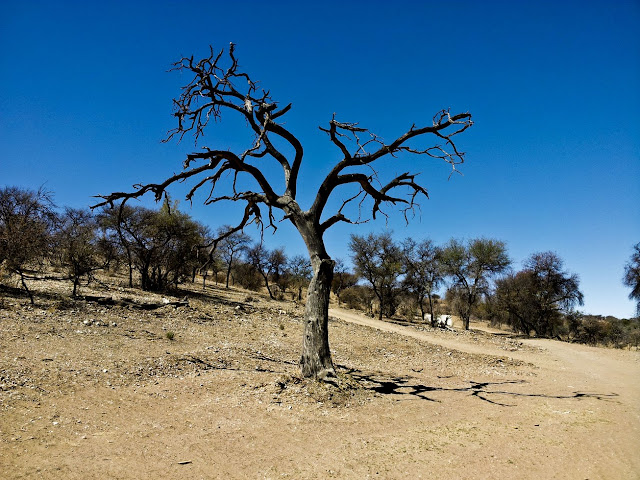 Daan Viljoen National Park Namibia