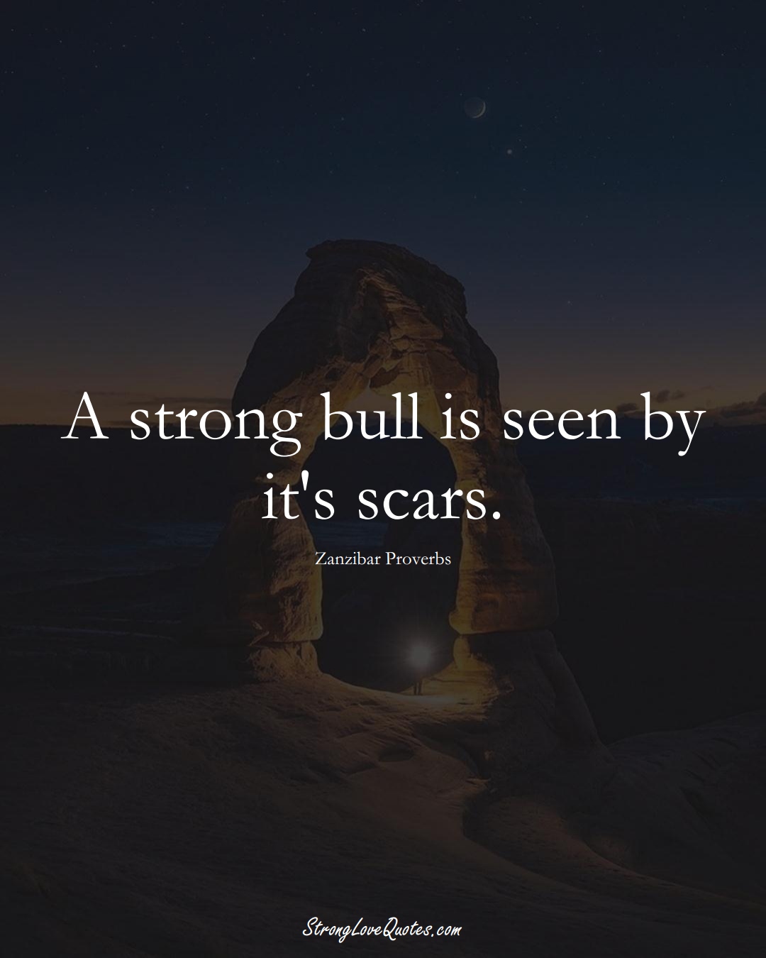 A strong bull is seen by it's scars. (Zanzibar Sayings);  #AfricanSayings