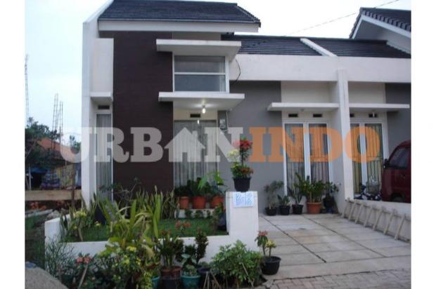 Harga Rumah Jakarta Pusat Murah