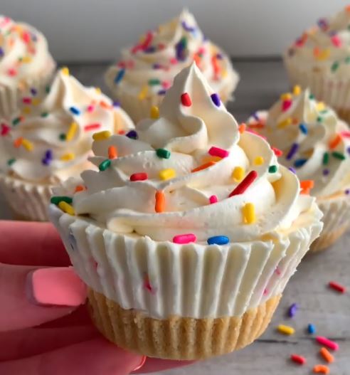 Mini Funfetti Cheesecakes