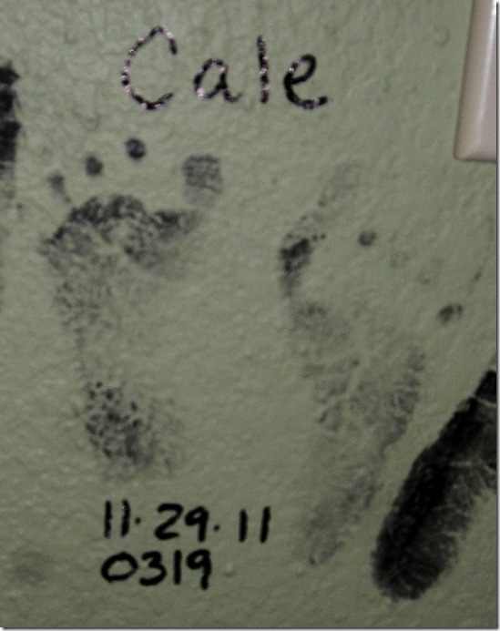 040.2