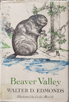 beaver valley book cover