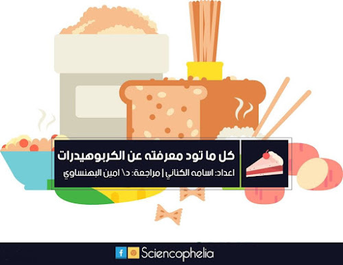 كل ماتود معرفته عن الكربوهيدرات