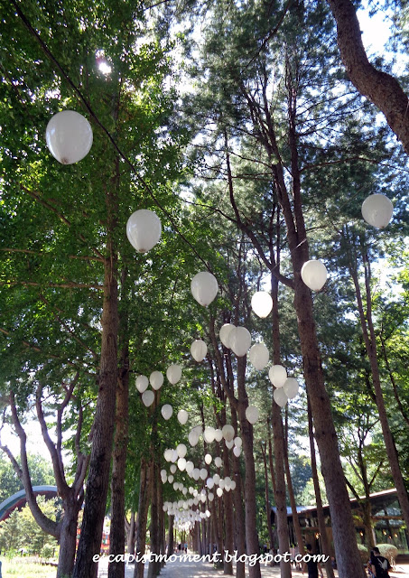 Nami island