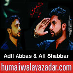 http://www.humaliwalayazadar.com/2017/10/adil-abbas-nowganvi-ali-shabbar.html