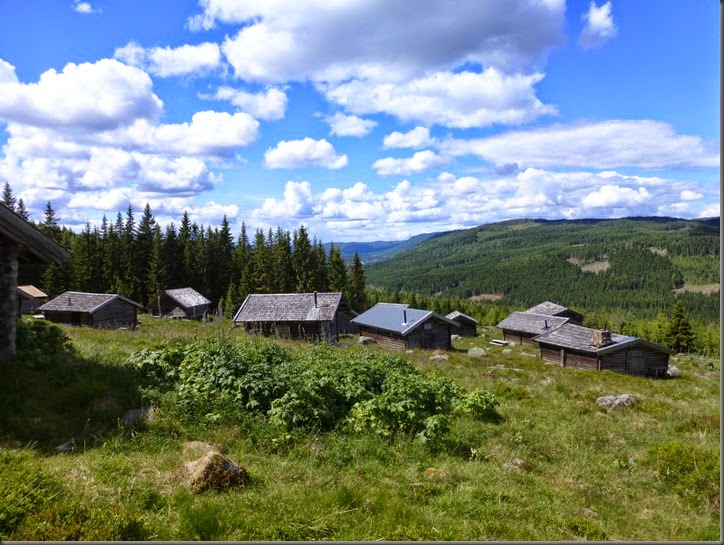 hurdal 010