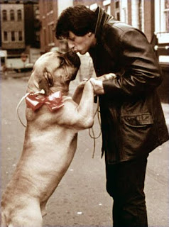 Sylvester Stallone With Their Dog