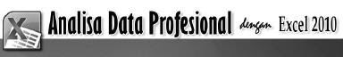 Analisa Data Profesional Dengan Excel 2010