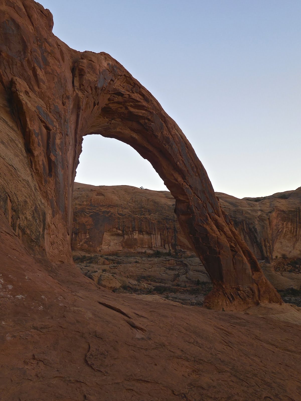 CORONA ARCH