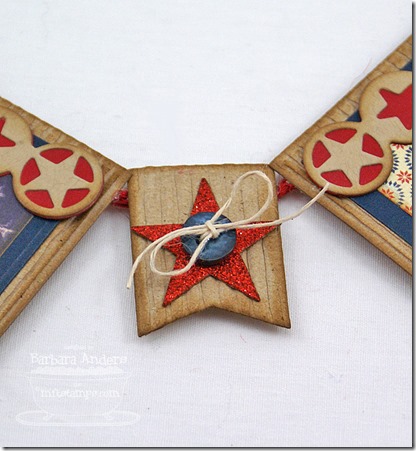 USAbannerStar_2013jul2