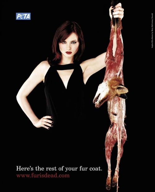 peta (4)