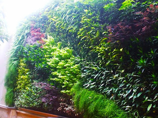 tukang taman vertikal garden dan jasa vertical garden tianggadha art