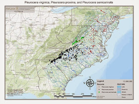  Pleurocerid map
