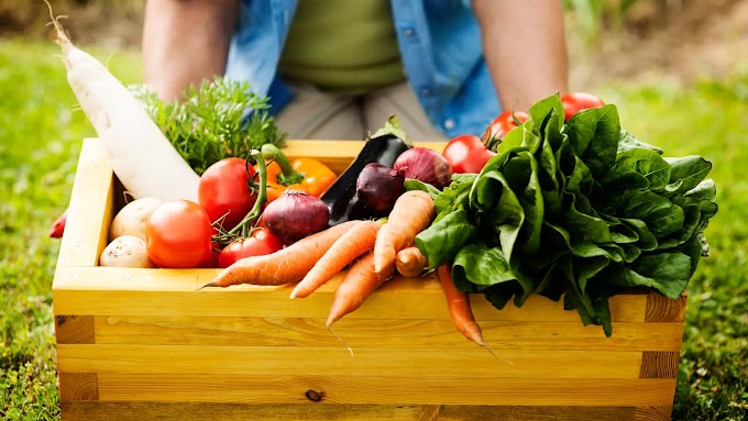 Repensando el futuro a través del alimento