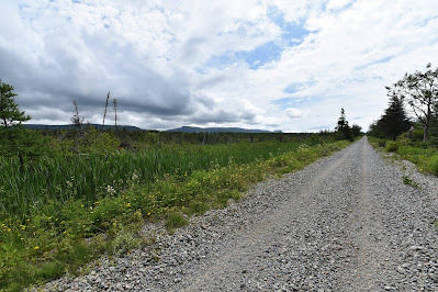 Trans Canada Trail path Newfoundland.