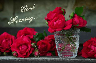 Top 165+ HD good morning images wishes - best good morning pic