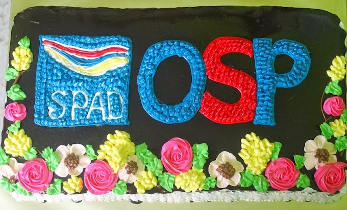 OSP SPAD simple cake