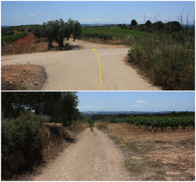 SANT JAUME DELS DOMENYS-PUIG DE LA TIULA, camí de la Plana a la zona de la plana del Nin