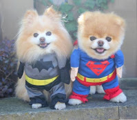 Perros Disfrazados para Halloween